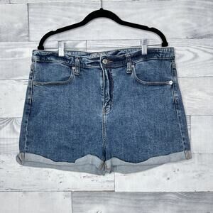 Wild Fable High Rise Denim Shorts